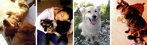 �����܂�T�[�r�X